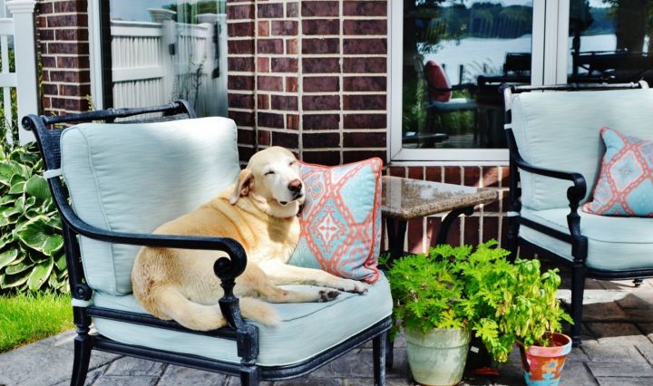 8 Patio Décor Ideas To Spruce Up Your Outdoor Space